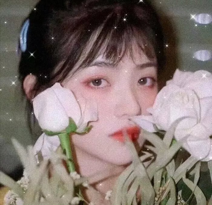 苏格兰之吻